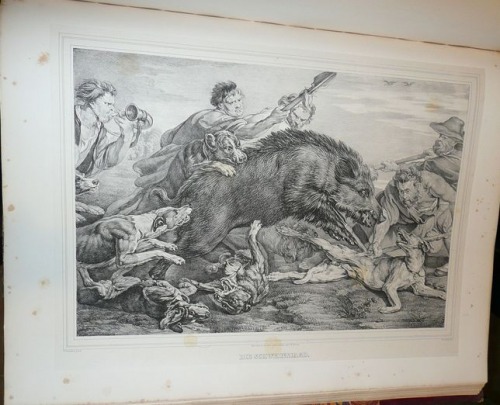 Ilustracja nr 161, aut. Snyders i Rubens